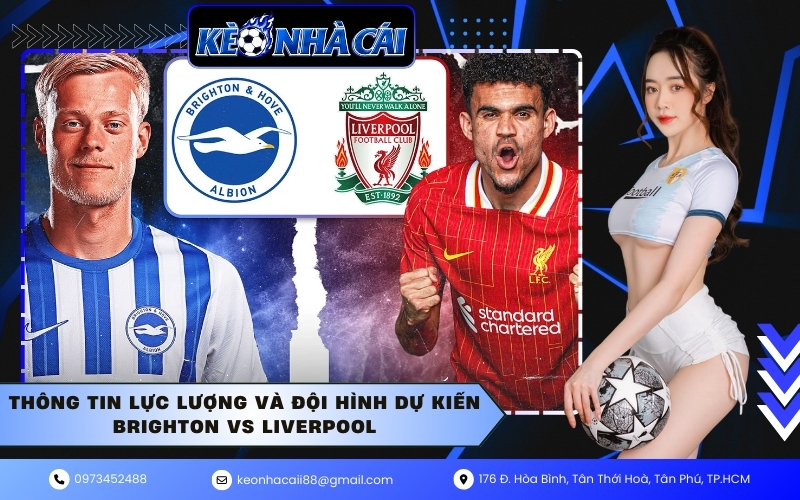 Thông tin lực lượng và đội hình dự kiến Brighton vs Liverpool